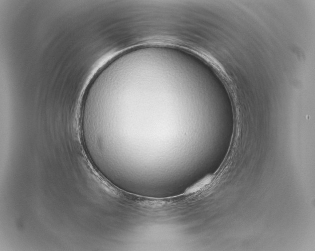 X0000115551248200911201754