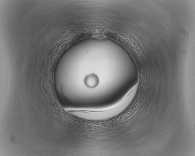 X0000115551249200911201753