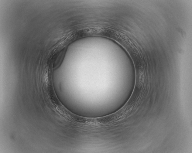 X0000115551250200911201753