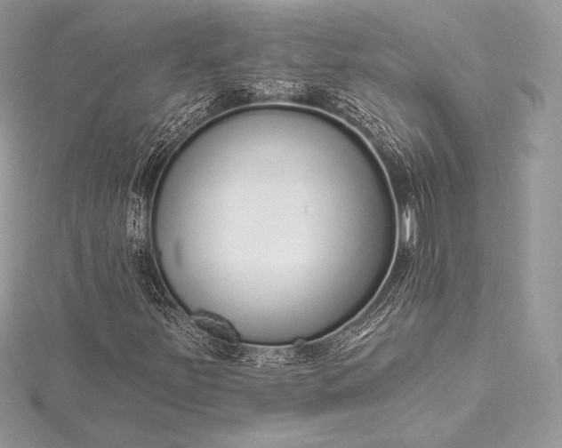 X0000115551251200911201753