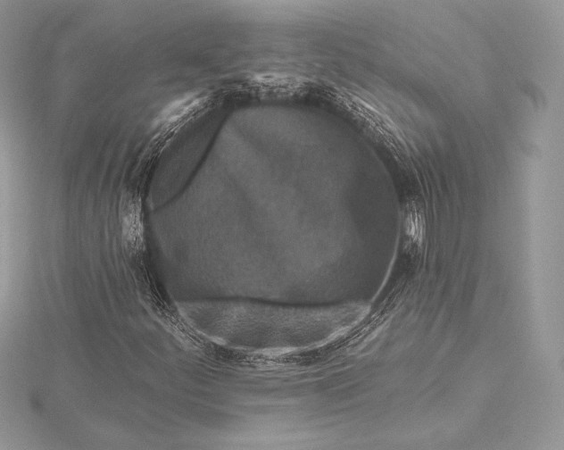 X0000115551252200911201753