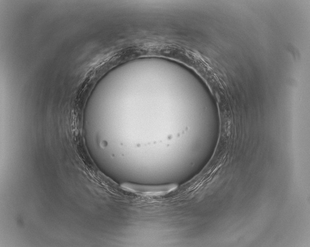 X0000115551253200911201753