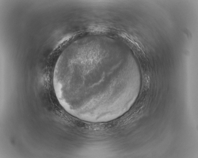 X0000115551254200911201753