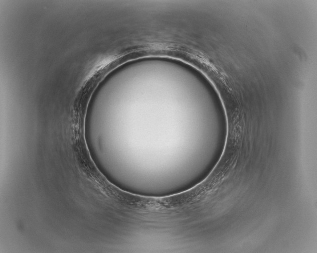 X0000115551255200911201753