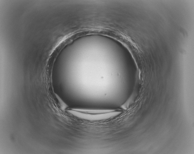 X0000115551256200911201753