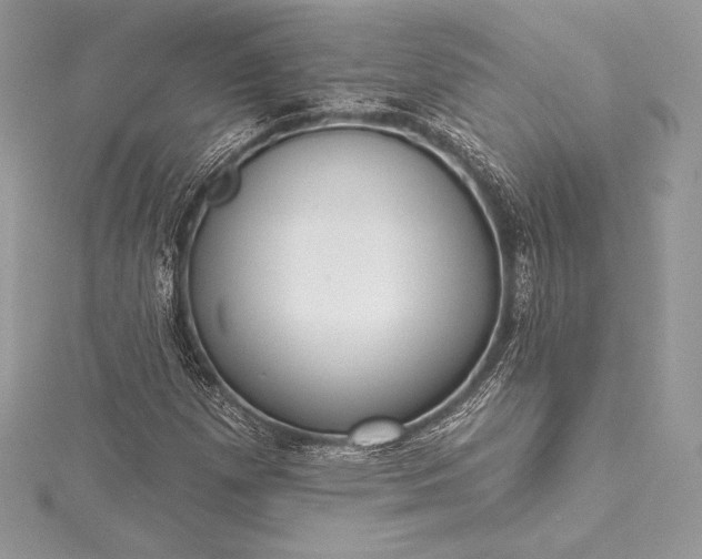 X0000115551257200911201753