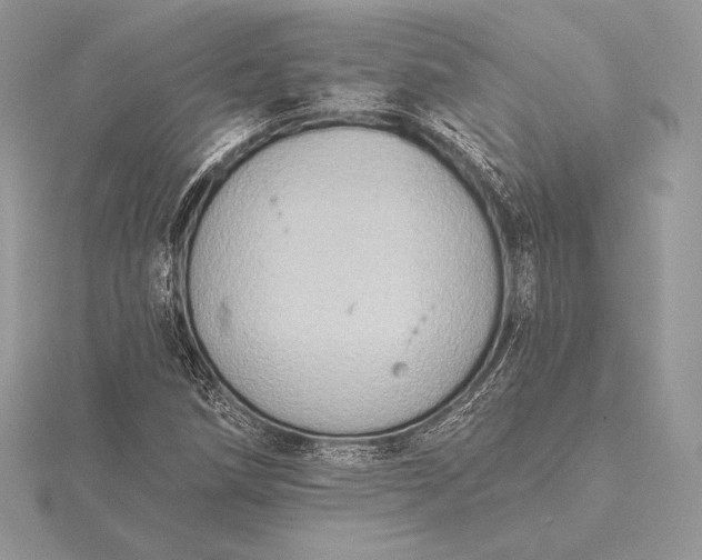 X0000115551258200911201753