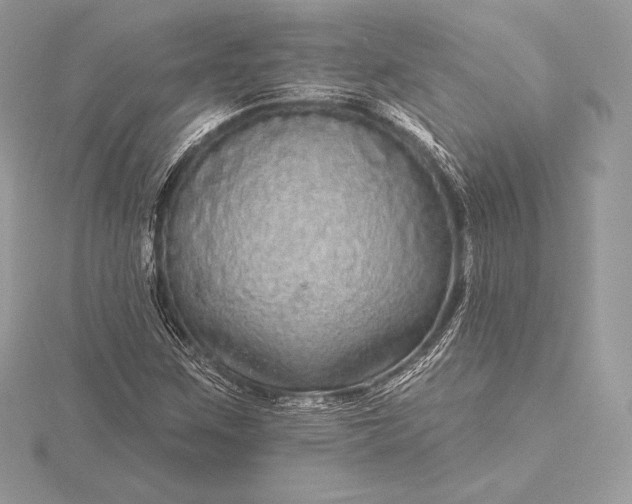 X0000115551259200911201753