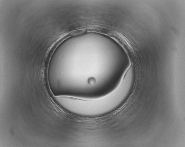 X0000115551260200911201753