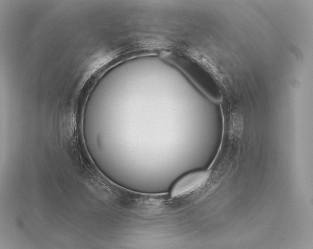 X0000115551261200911201753