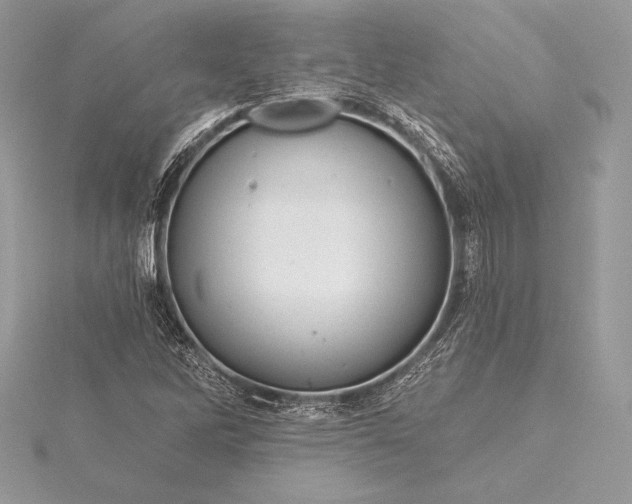 X0000115551262200911201753