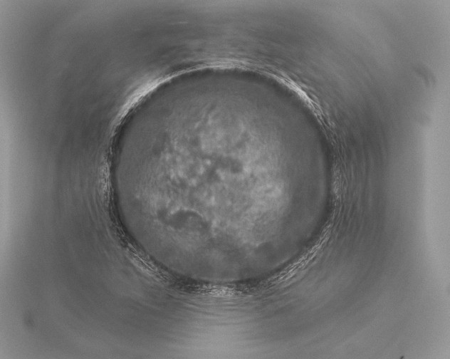 X0000115551263200911201753