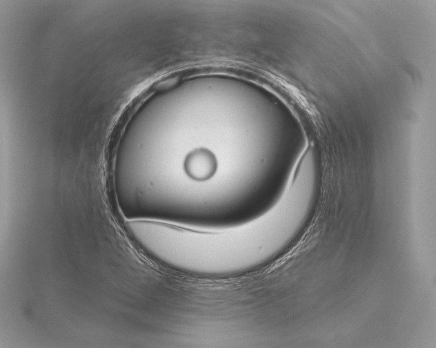 X0000115551264200911201753