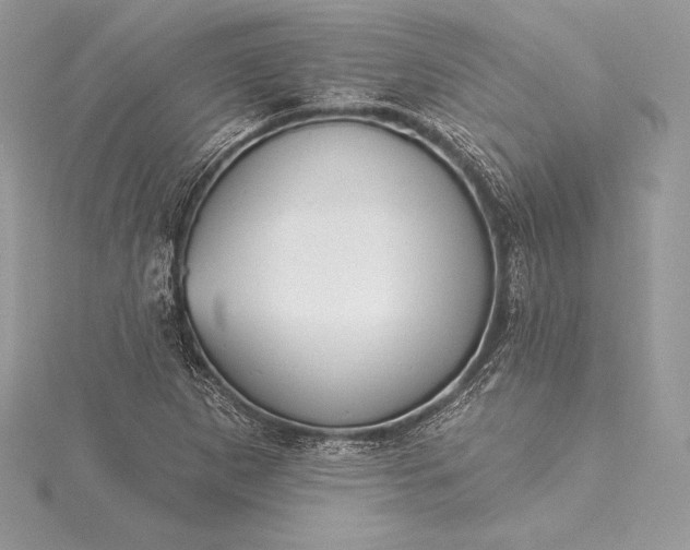 X0000115551265200911201753