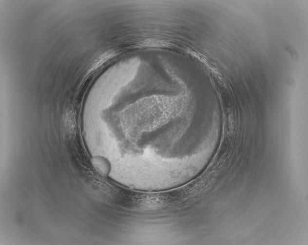 X0000115551266200911201753