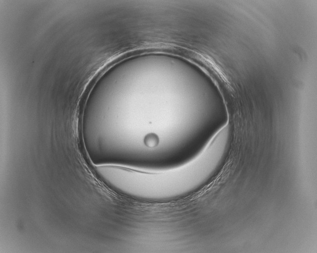 X0000115551268200911201753