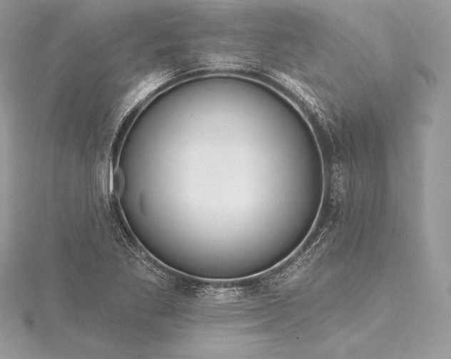 X0000115551269200911201753