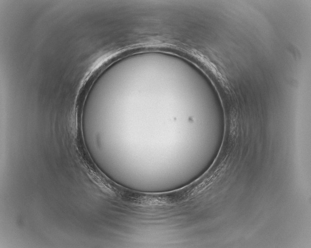 X0000115551270200911201753