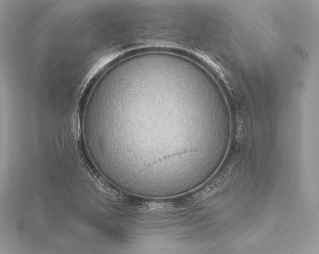 X0000115551271200911201753