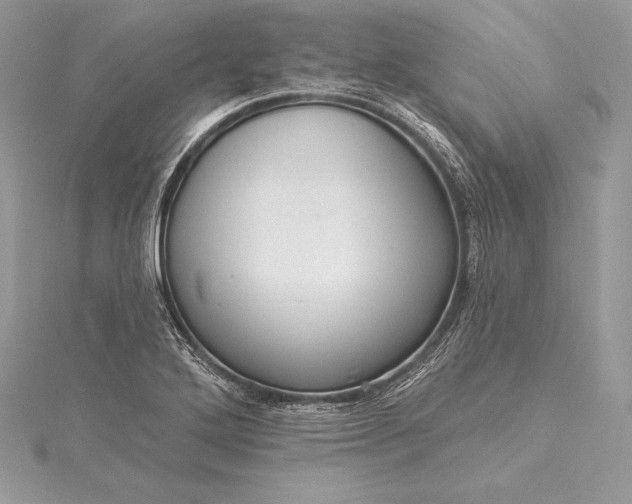 X0000115551272200911201753