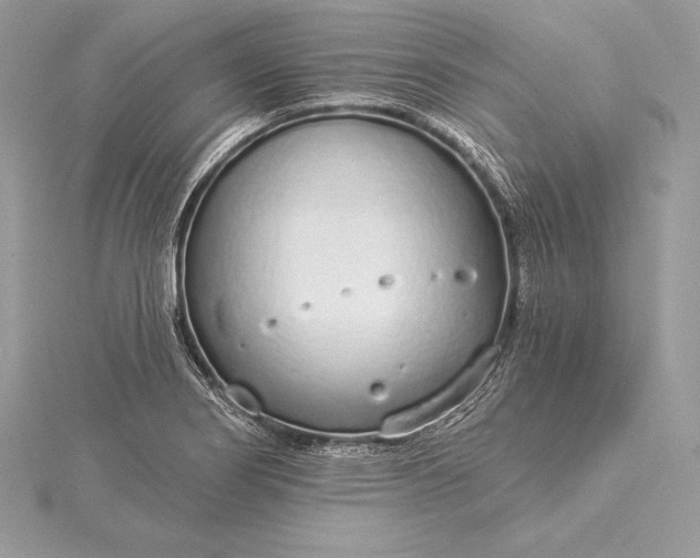 X0000115551274200911201753