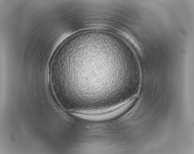 X0000115551275200911201753