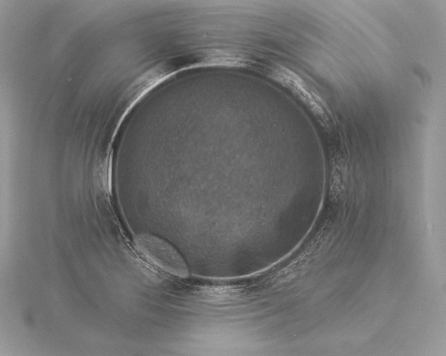 X0000115551276200911201753