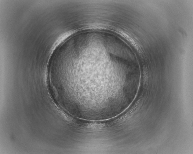 X0000115551277200911201753