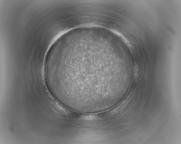 X0000115551278200911201753