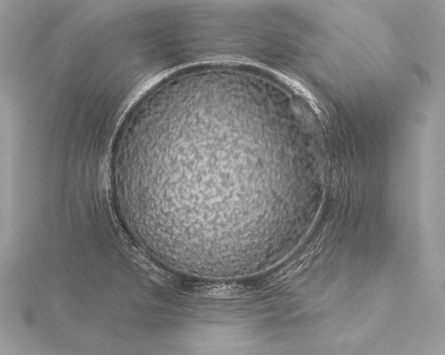 X0000115551279200911201753