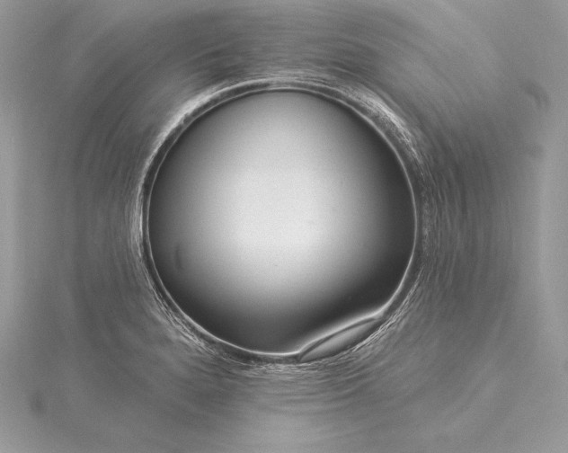 X0000115551280200911201753