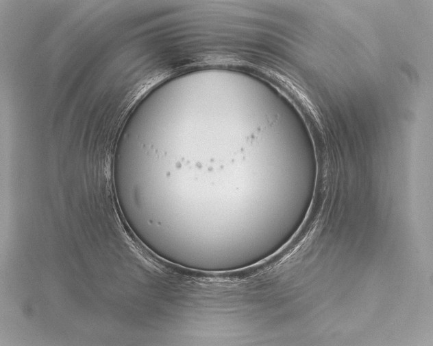 X0000115551281200911201753