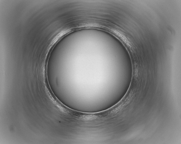 X0000115551282200911201753