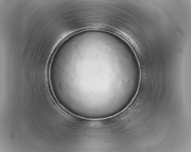 X0000115551283200911201753