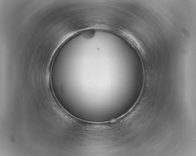 X0000115551284200911201753