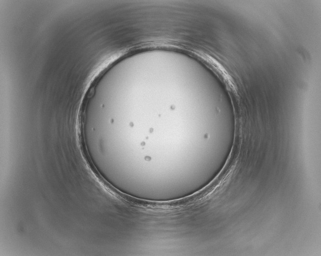 X0000115551285200911201753