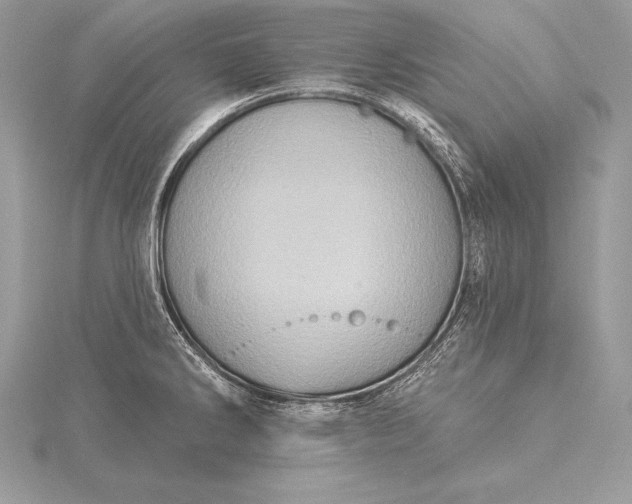 X0000115551286200911201753