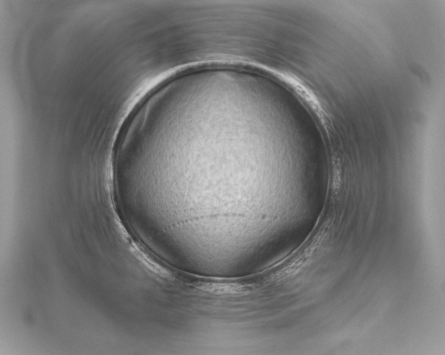 X0000115551287200911201753