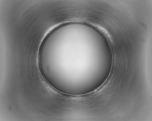 X0000115551288200911201753