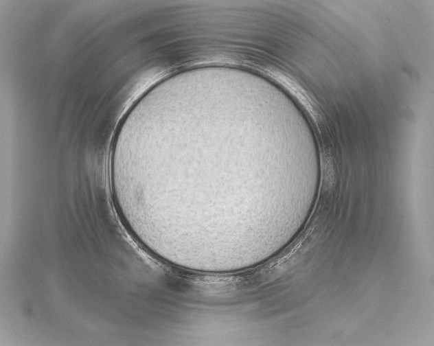 X0000115551290200911201753