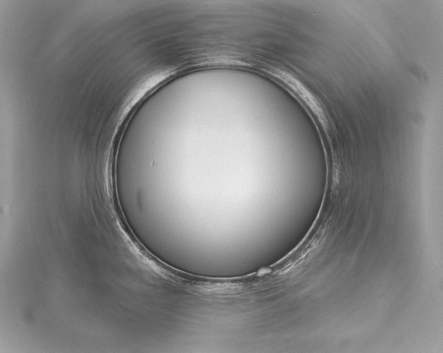 X0000115551293200911201753