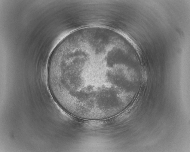 X0000115551294200911201753