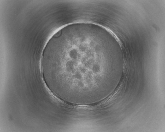 X0000115551295200911201753