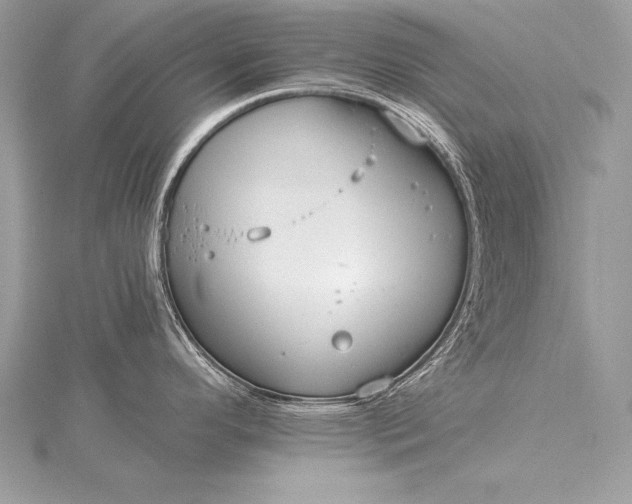 X0000115551296200911201753