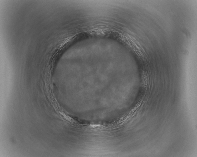 X0000115551297200911201752