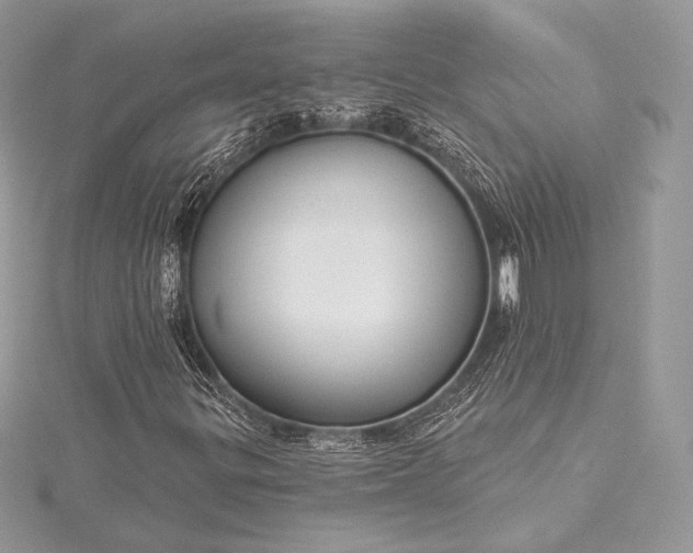 X0000115551299200911201752