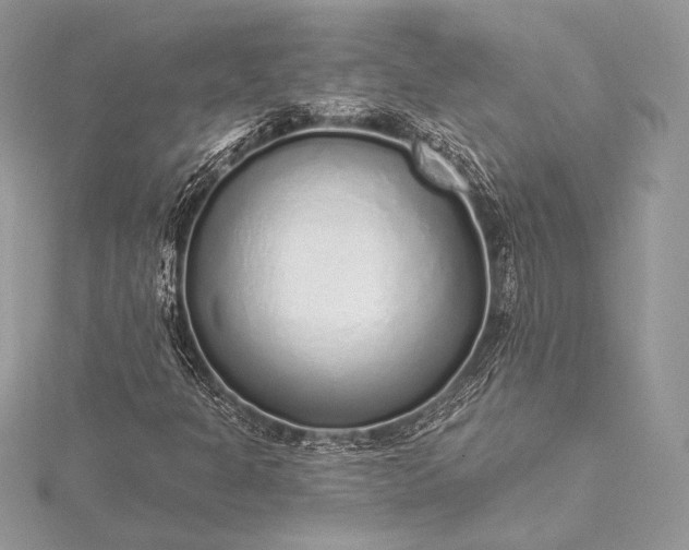 X0000115551301200911201752