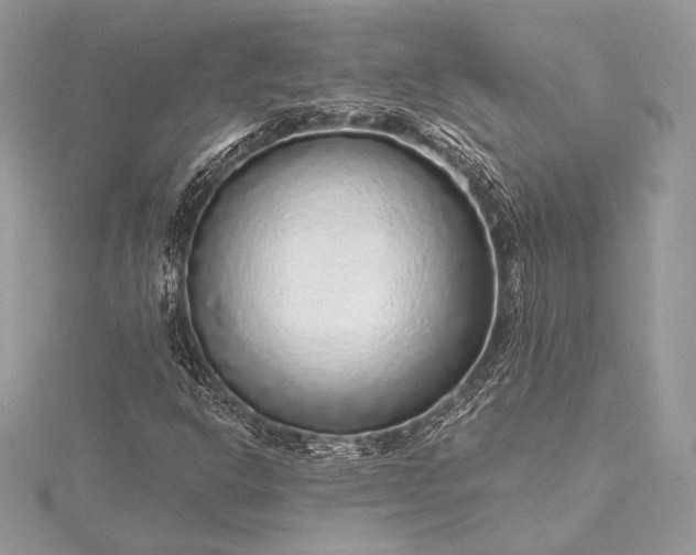 X0000115551302200911201752