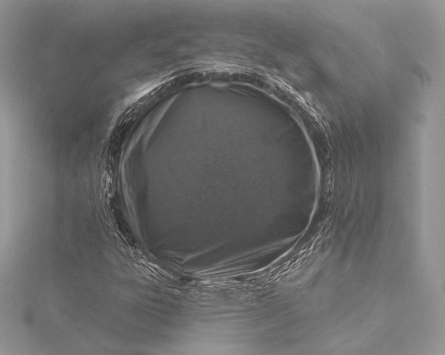 X0000115551303200911201752