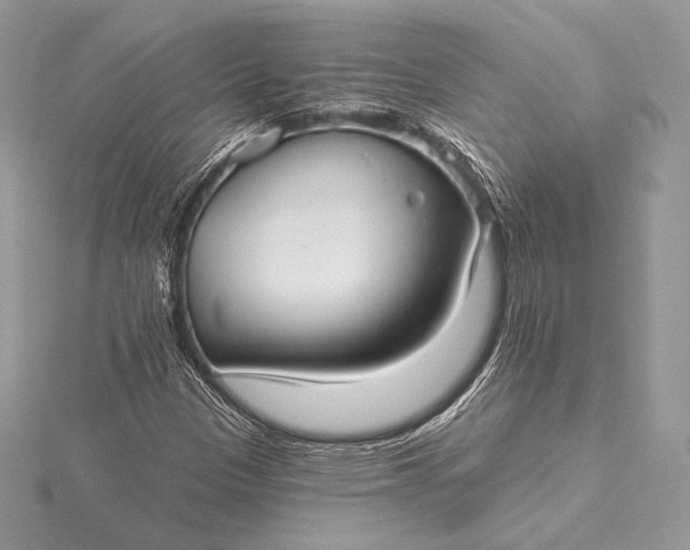 X0000115551305200911201752